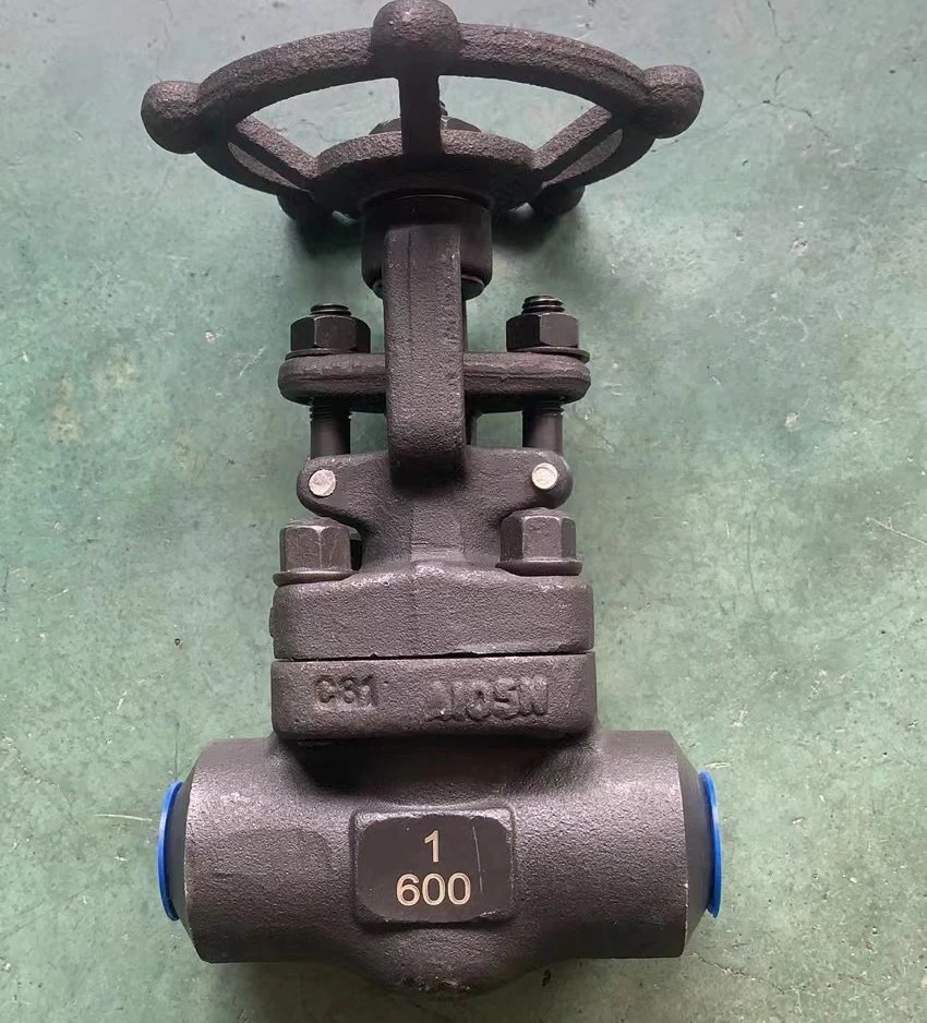 A105 Forged Steel Stainless Steel Cast Iron Sw Bw NPT Thread Globe Valve