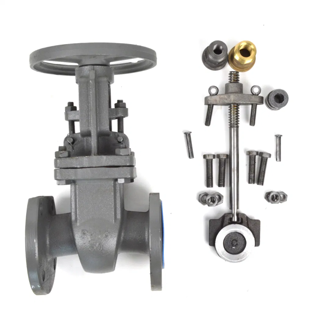 GOST Standard Cast Steel Gate Valve From China Py16